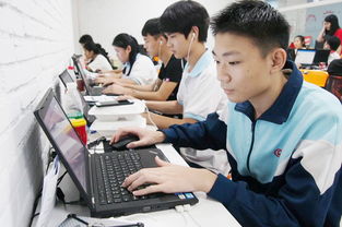 电子商务专业实习是干嘛