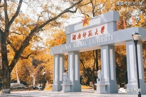 长沙电子商务专业成人考