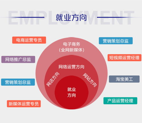 电子商务专业研究生就业