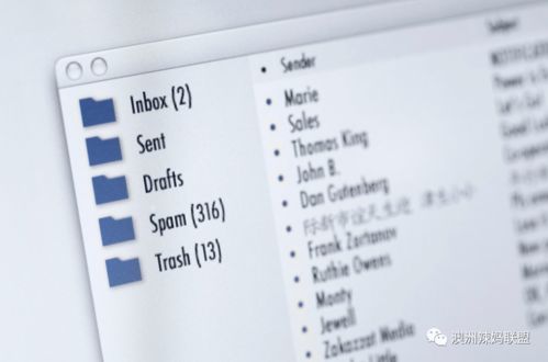 金山区专业电子商务需求